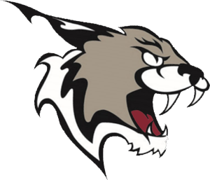 New Hampshire Technical Institute